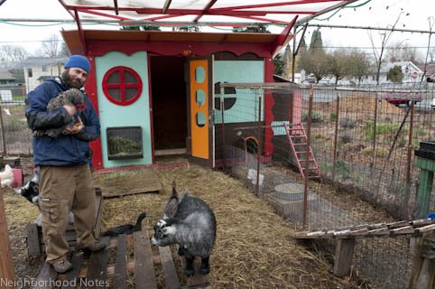 Look at this cute upcycled chicken coop. Any chicken would be lucky to ...