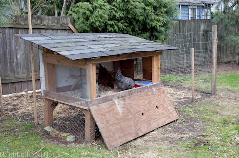 How To Make Chicken Coop Pictures to pin on Pinterest
