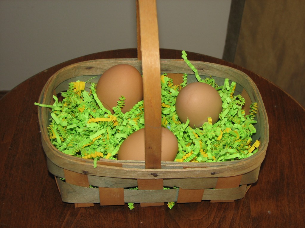 Real Easter Basket Grass!