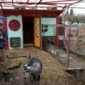 How To: Make a Chicken Coop From Upcycled Materials