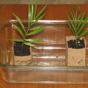 How To: Make Seedling Pots