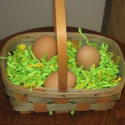 6 Alternatives To Easter Grass